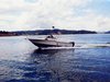 Bayliner Wallpaper